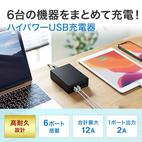 USB充電器 (6ポート・合計12A・ブラック) ACA-IP67BK