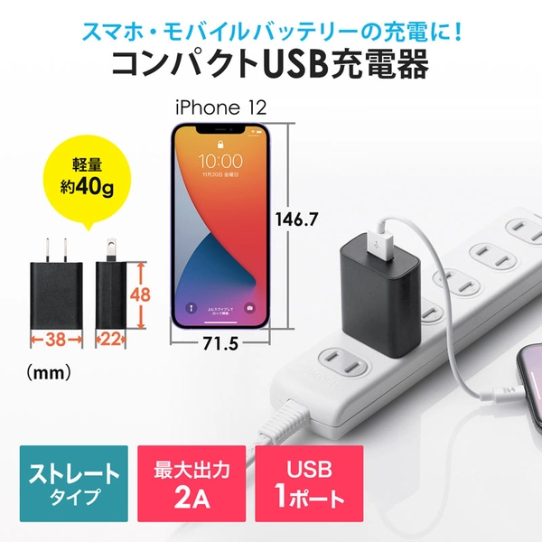 USB充電器 (2A・ブラック) ACA-IP87BK