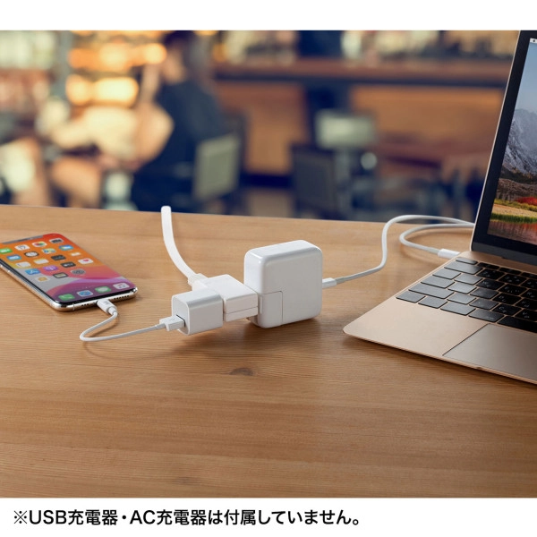 マイクロタップ 2個口 1m ホワイト TAP-M61W