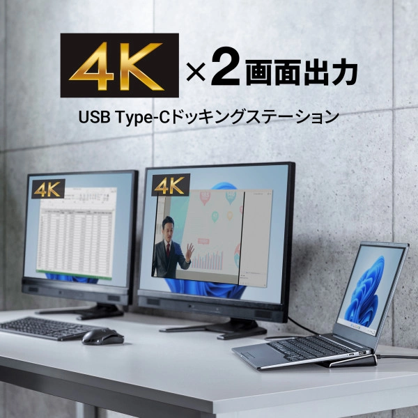 USB Type-Cドッキングステーション（4K対応・HDMI×2画面出力） USB-CVDK14