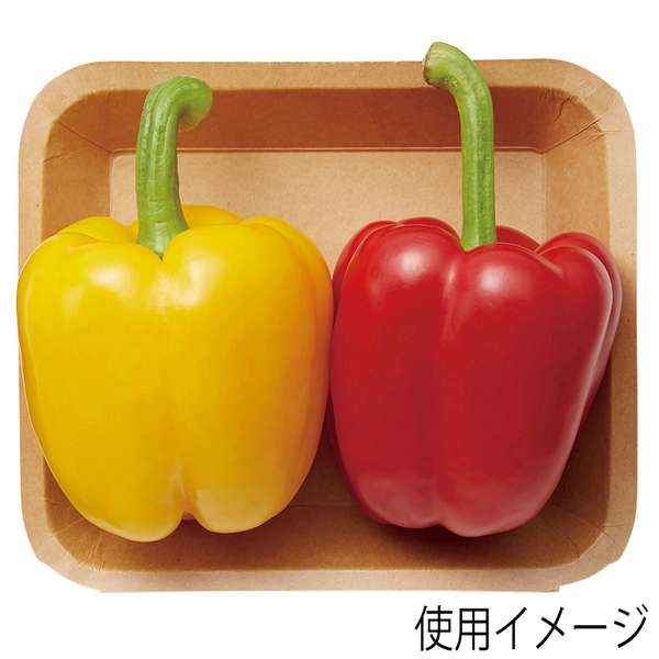 【HEIKO】食品容器 クラフトフードトレー 15x17 50枚