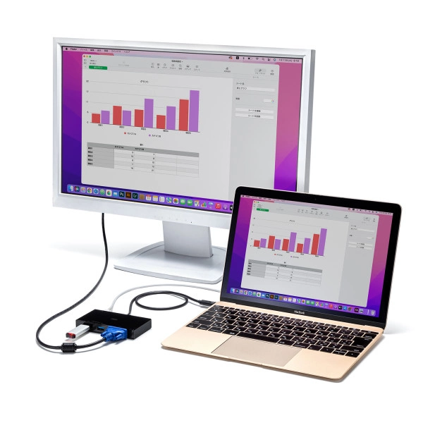 VGA付USB Type-Cハブ USB-3TCV1BK