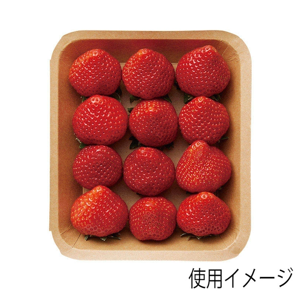 【HEIKO】食品容器 クラフトフードトレー 15x17 50枚