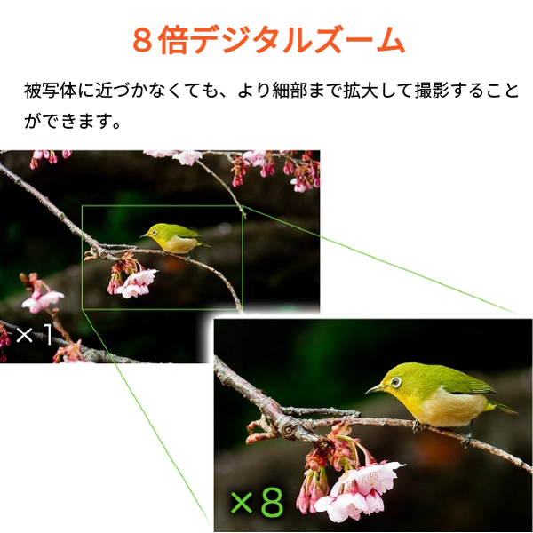 フィールドスリー コンパクトデジタルカメラ F3DCAF-01