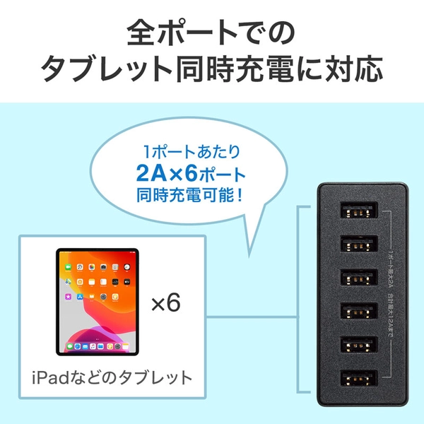 USB充電器 (6ポート・合計12A・ブラック) ACA-IP67BK