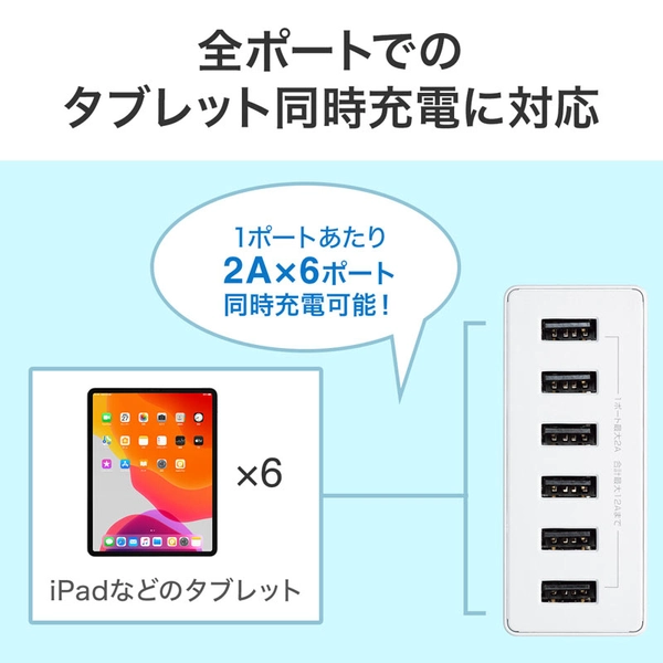 USB充電器 (6ポート・合計12A・ホワイト) ACA-IP67W