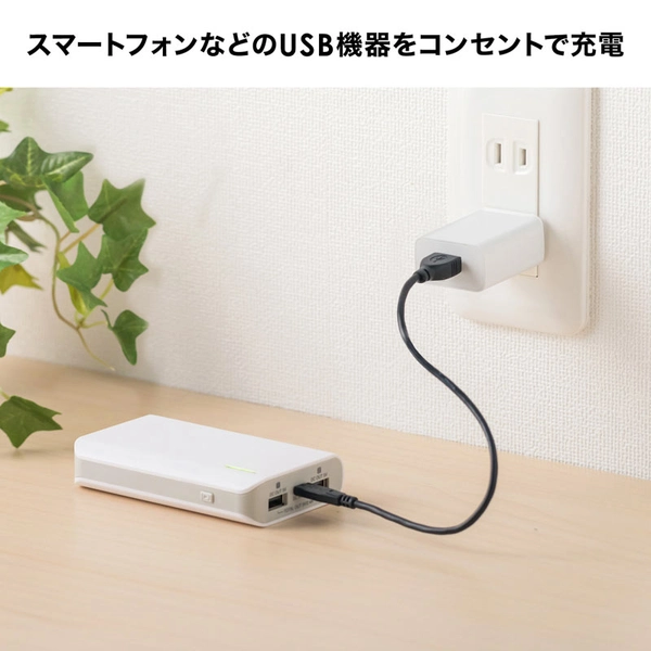 USB充電器 (1A・ホワイト) ACA-IP86W