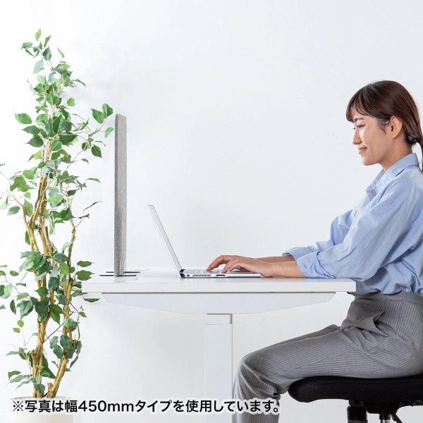 デスクパーティション（フェルト/W600×H450mm） SPT-DPJRF60H