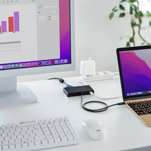 VGA付USB Type-Cハブ USB-3TCV1BK