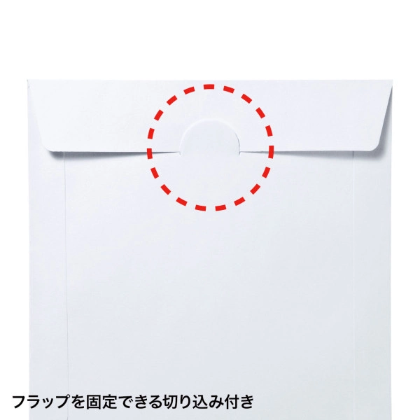 DVD・CDペーパースリーブケース（窓なしタイプ・100枚入り） FCD-PS100NWW