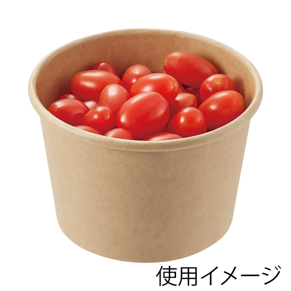 【HEIKO】食品容器 未晒フードカップ 中型 480ml 口径115mm 25個×20 (500個)