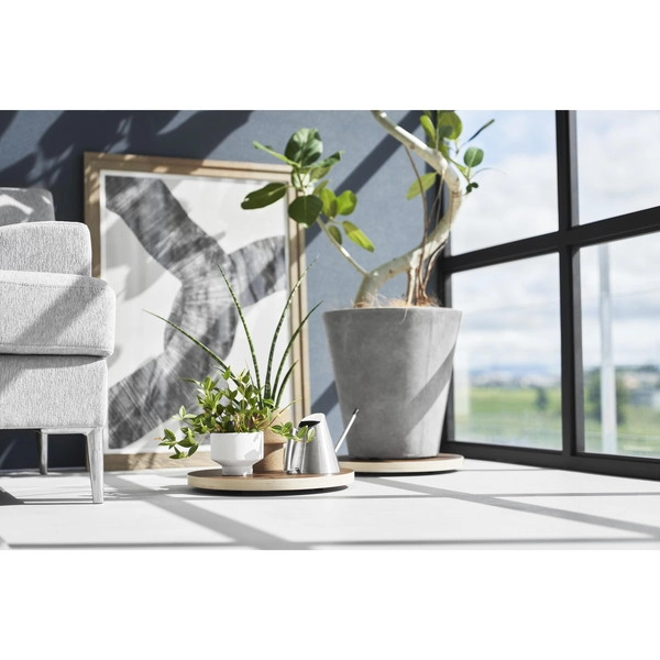 【RIN】インテリア低台車 リン ラウンド ブラウン