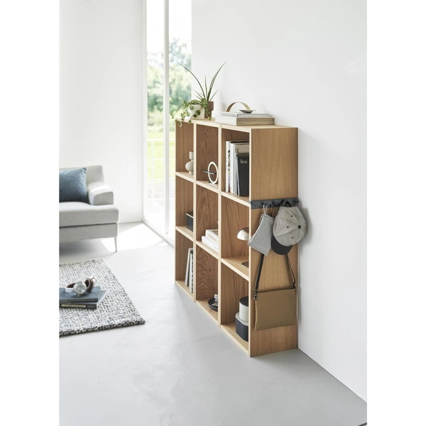 【smart】カラーボックスに差し込めるフック5連 スマート ブラック