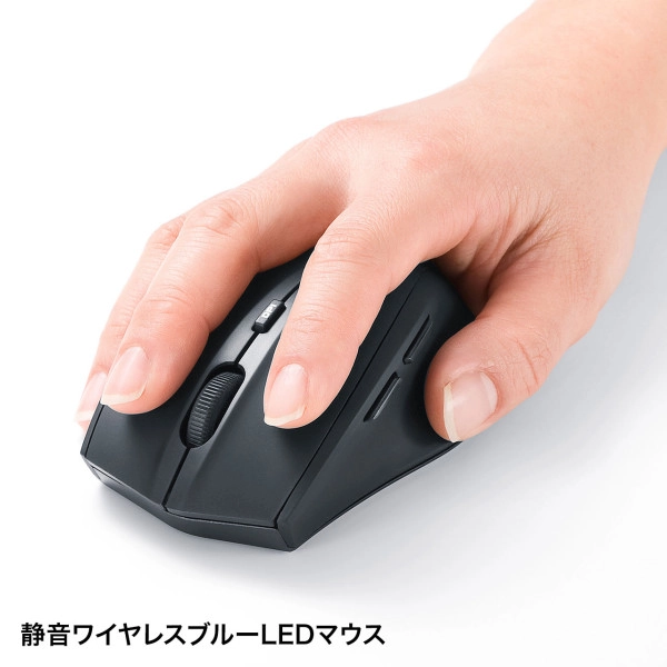 マウス付きワイヤレスキーボード ブラック SKB-WL25SETBK