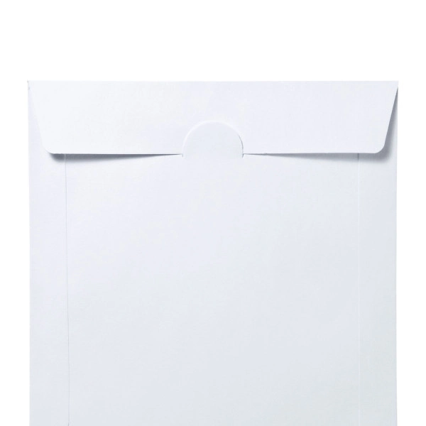 DVD・CDペーパースリーブケース（窓なしタイプ・100枚入り） FCD-PS100NWW