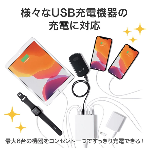 USB充電器 (6ポート・合計12A・ホワイト) ACA-IP67W