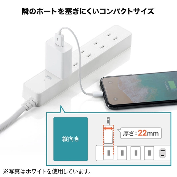 USB充電器 (2A・ブラック) ACA-IP87BK