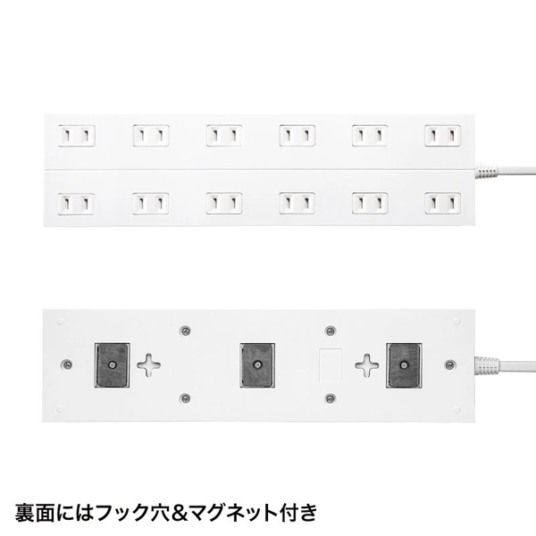 電源タップ (2P・12個口・1m) TAP-2312-1W