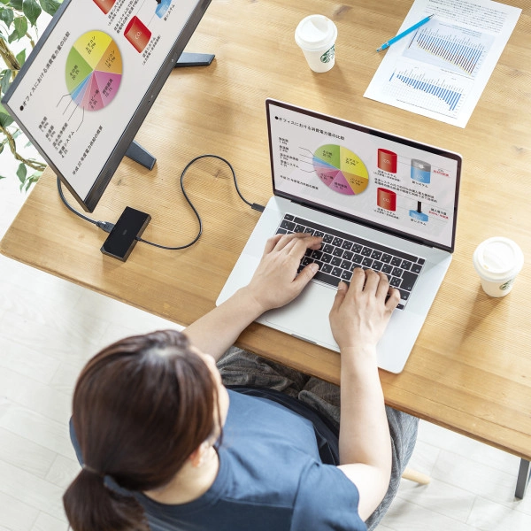 USB Type-Cマルチ変換アダプタ AD-ALCMHV2BK