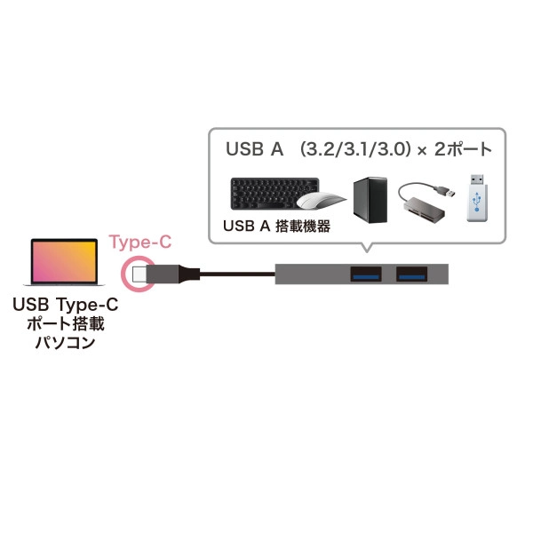 USB Type-C 2ポートスリムハブ USB-3TCH24SN