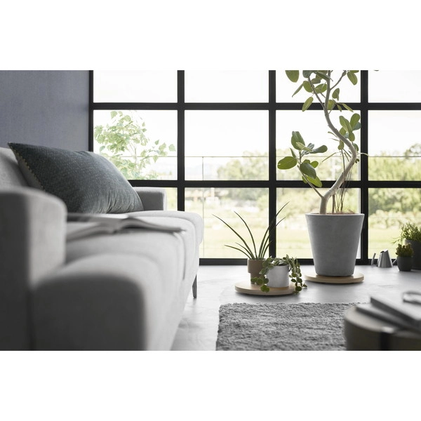 【RIN】インテリア低台車 リン ラウンド ナチュラル