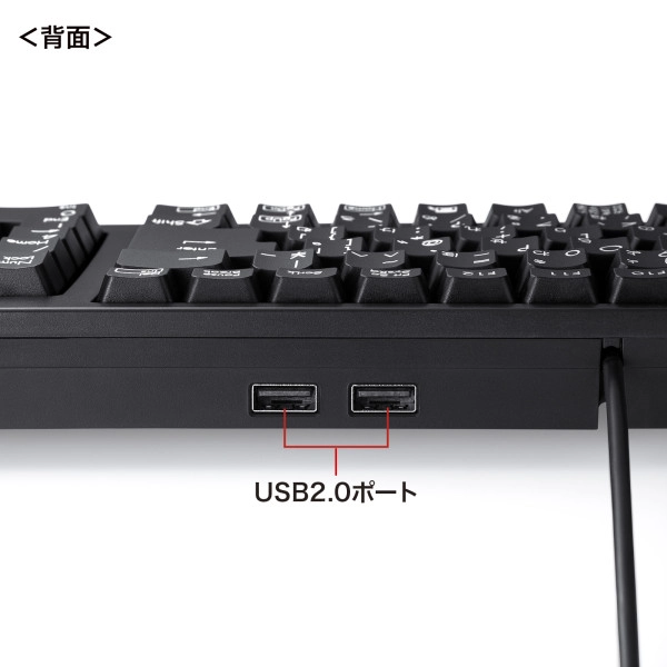 USBハブ付コンパクトキーボード SKB-KG2UH2BK