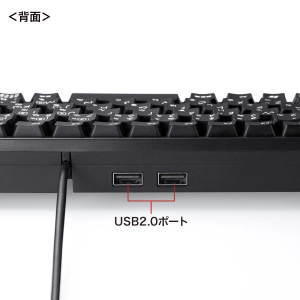 USBハブ付コンパクトキーボード SKB-KG3UH2BK