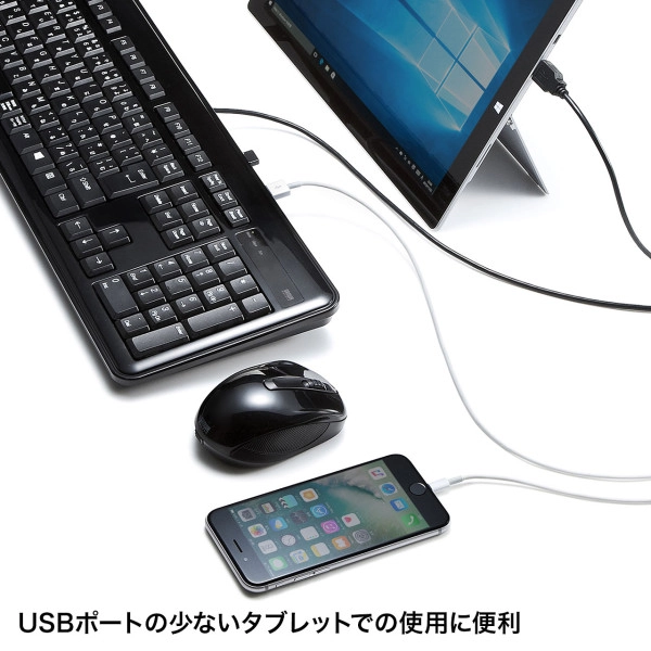 USBハブ付キーボード SKB-SL21UHBK