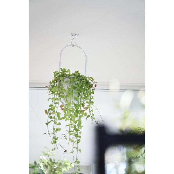 【tower】天井から吊り下げできるプランターフック タワー 石こうボード壁対応 ホワイト