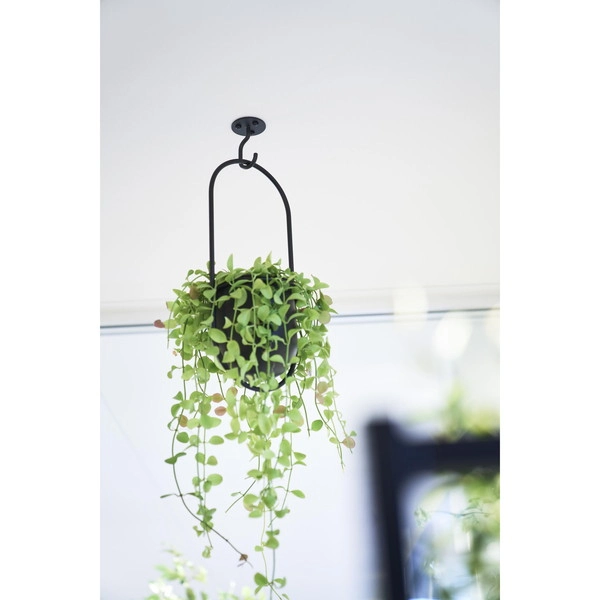 【tower】天井から吊り下げできるプランターフック タワー 石こうボード壁対応 ブラック