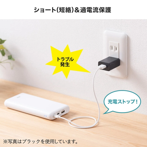 USB充電器 (2A・ホワイト) ACA-IP87W