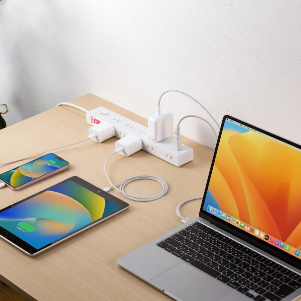 雷ガードタップ 3m ホワイト TAP-SP2110N-3W