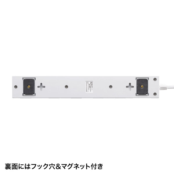 雷ガードタップ 1m ホワイト TAP-SP2110N-1W