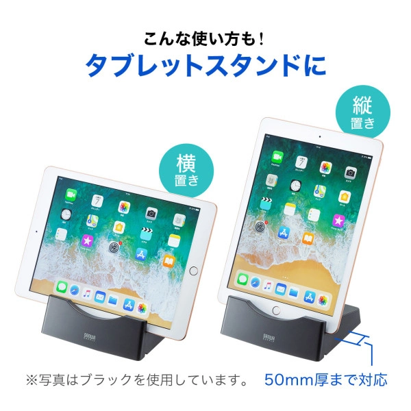 データホルダー（ホワイト） DH-319W