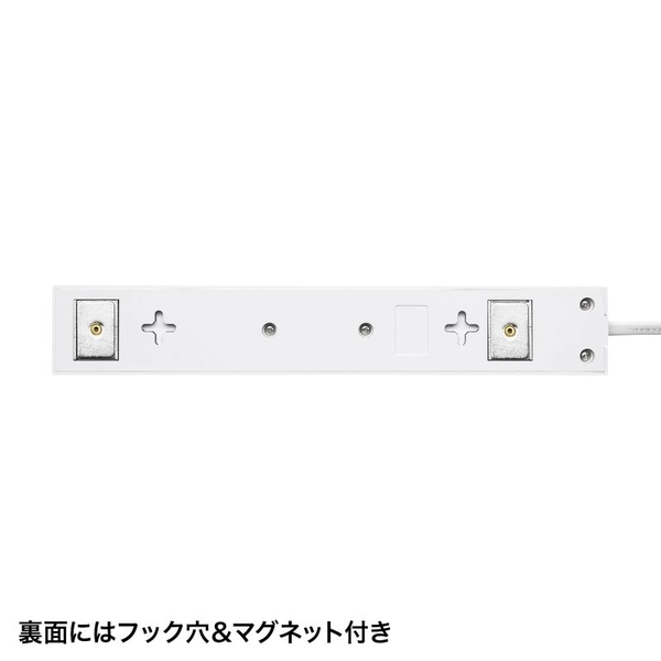 電源タップ 2P 10個口 強力ネオジムマグネット シャッター付 TAP-2210-1W