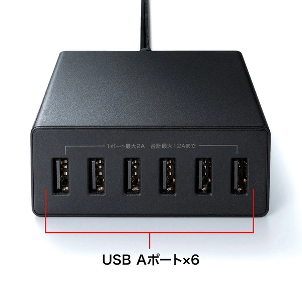 USB充電器 (6ポート・合計12A・ブラック) ACA-IP67BK